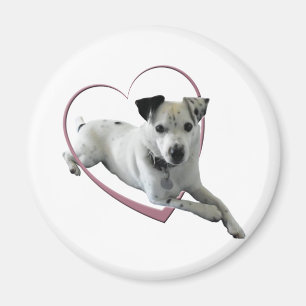 Aimant Cadeaux de chien de Jack Russell d'amour