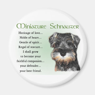 Aimant Cadeaux de Schnauzer miniature