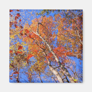 Aimant Cadeaux du parc national des sources chaudes d'aut