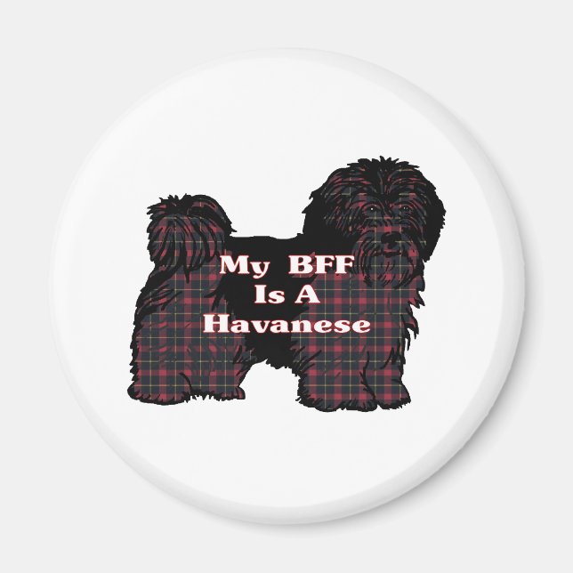 Aimant Cadeaux HAVANESE BFF (Devant)
