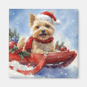 Aimant Cairn Terrier Chien dans la corniche Laisser il ne