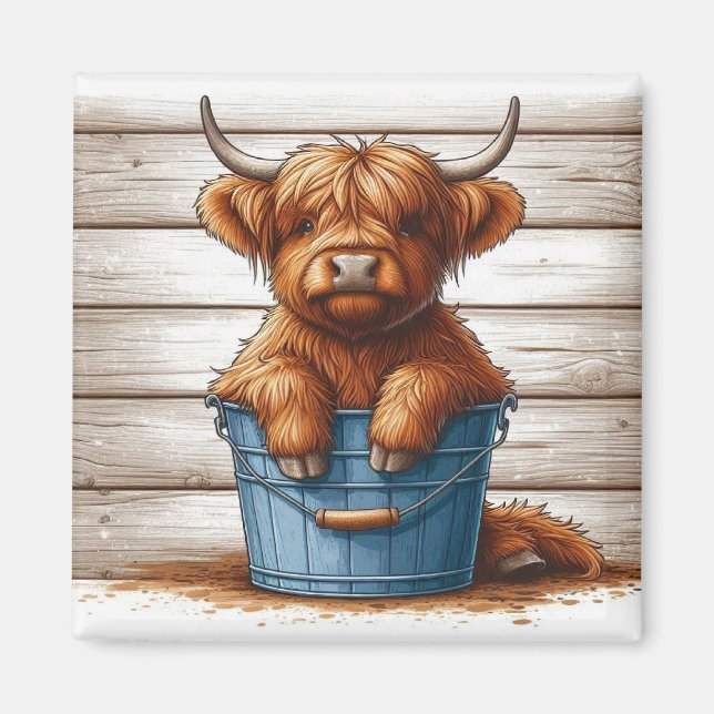 Aimant Calf de vache Highland sur Bucket bleu contre mur  (Devant)