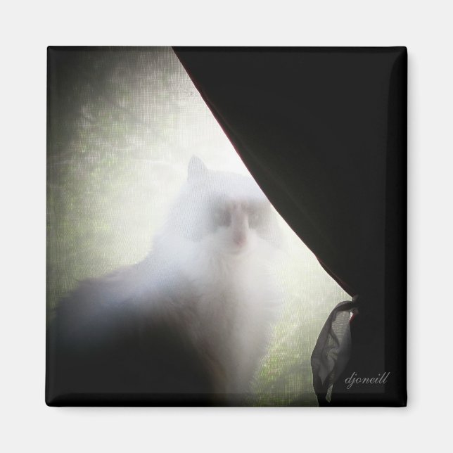 Aimant Calico Ghost Chat par djoneill (Devant)