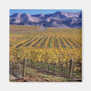 Aimant Californie, Comté de San Luis Obispo, vallée de l'