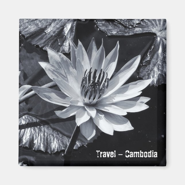 Aimant Cambodge - Lotus Flower BW (Frigo Magnet) (Devant)
