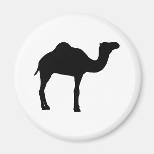 Aimant Camel