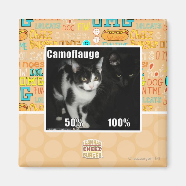 Aimant Camouflage (Devant)