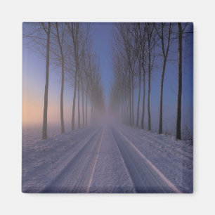 Aimant Campagne À Proximité Castagnole   Piémont Italie