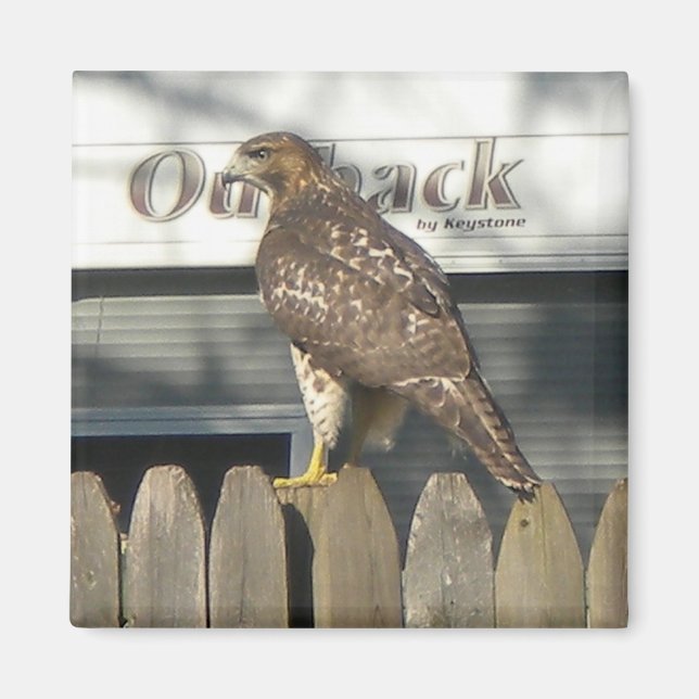 Aimant Camping Hawk (Devant)