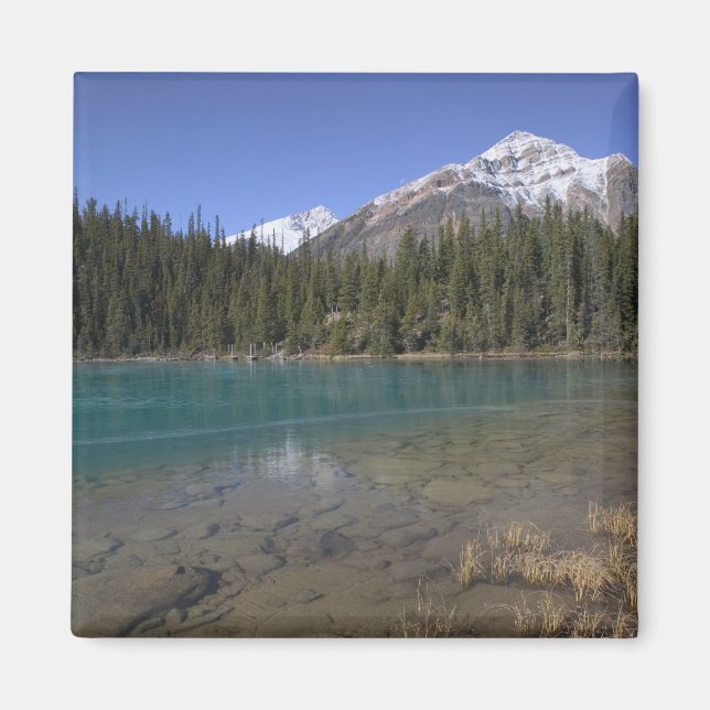 Aimant Canada, Alberta, parc national de Jasper : JASPER, (Devant)