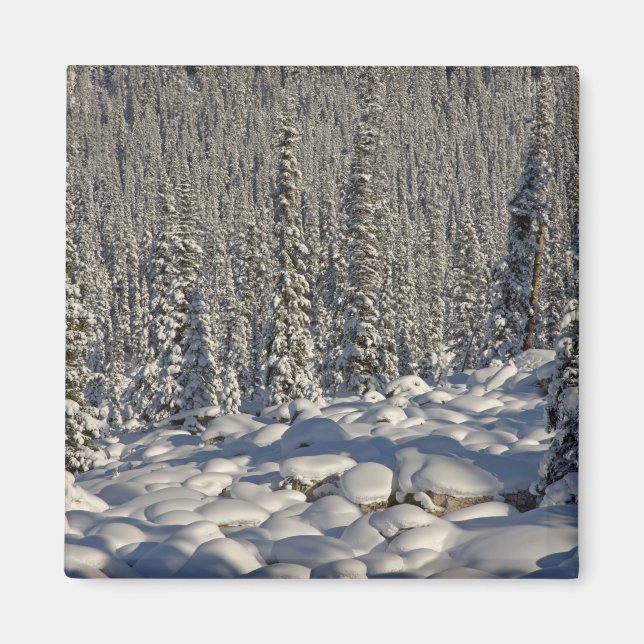 Aimant Canada, Alberta, Parc national Jasper. (Devant)