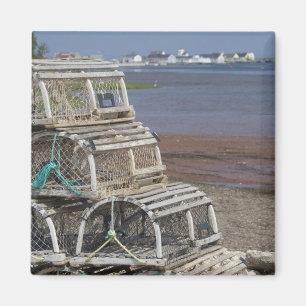 Aimant Canada, Île-du-Prince-Édouard, Rustico. Homard