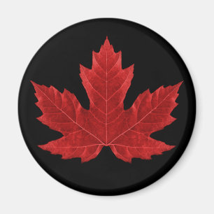 Aimant canadien rouge de feuille d'érable