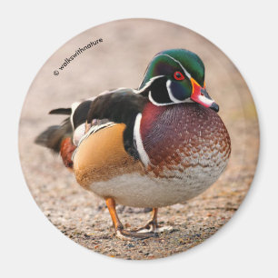Aimant Canard en bois sur le gravier