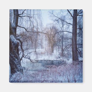 Aimant Canards dans un étang gelé dans Central Park à New