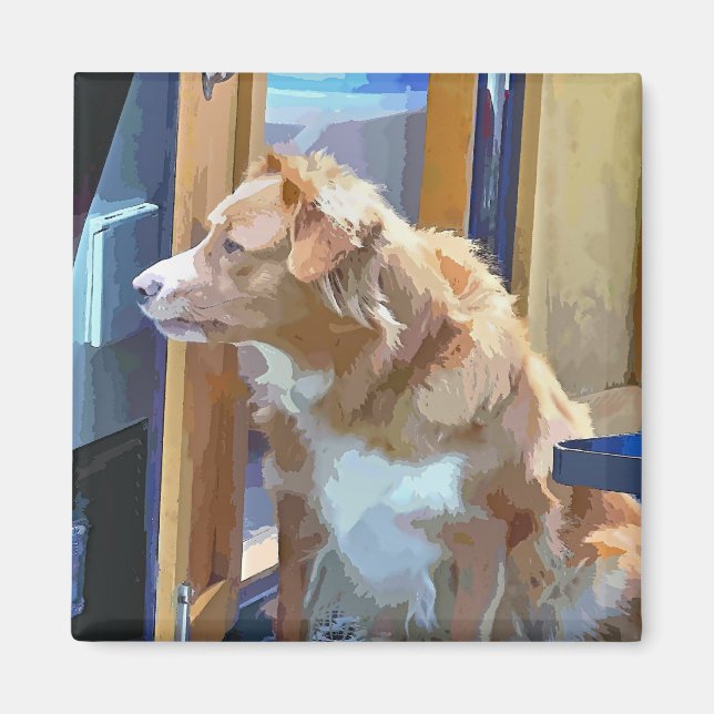 AIMANT CANAUX (Devant)