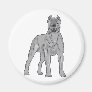 Aimant Cane Corso