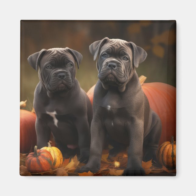 Aimant Cane Corso Chiot Automne Citrouille de plaisir (Devant)