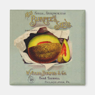 Aimant Cantaloupe Semences Publicité Art Antique