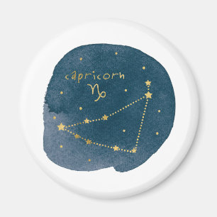 Aimant Capricorne