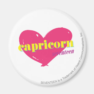Aimant Capricorne