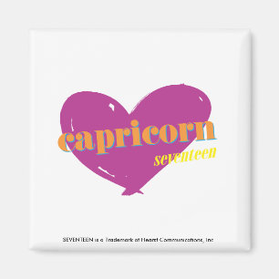 Aimant Capricorne 2