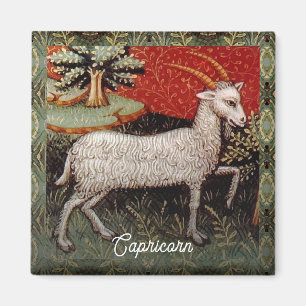Aimant Capricorne chèvre signe Zodiac fête d'anniversaire