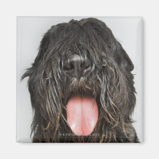 Aimant Capture de studio (Devant)