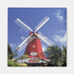 Aimant Caraïbes, Aruba. Vieux Moulin, converti en 'Moulin