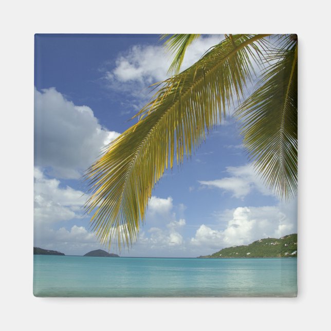 Aimant Caraïbes, îles Vierges américaines, St. Thomas, (Devant)