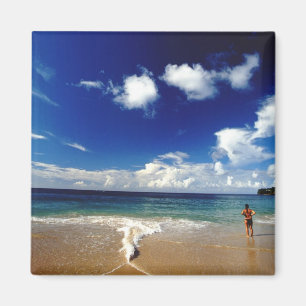 Aimant Caraïbes, Petites Antilles, Indes occidentales, 2