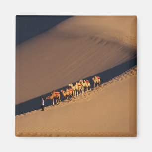 Aimant Caravane de chameaux dans le désert, Dunhuang, Gan