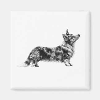 Aimant Cardigan Corgi gallois