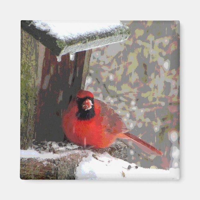 Aimant Cardinal à la source (Devant)