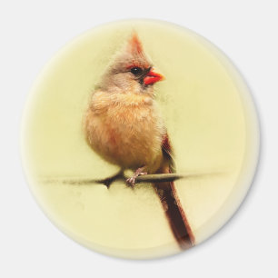 Aimant Cardinal des femmes