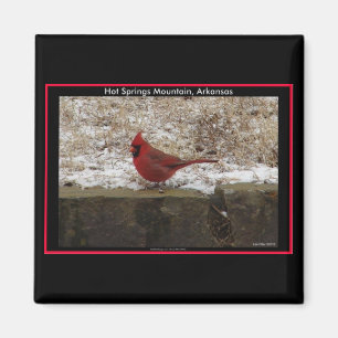Aimant Cardinal Hot Springs Nat. Park Mountain AR Cadeaux