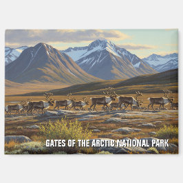 Aimant Caribou aux portes du parc national de l'Arctique