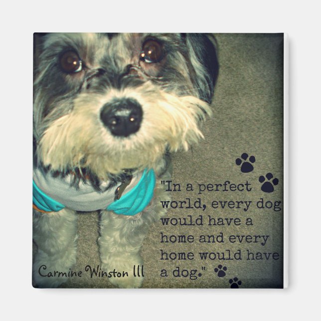 Aimant Carmine Winston III- "Dans un monde parfait..." Ma (Devant)