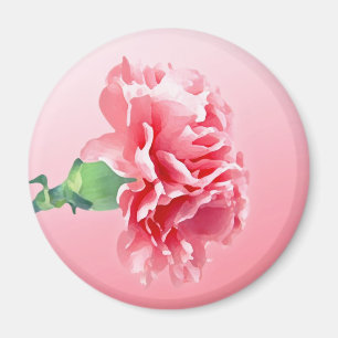 Aimant Carnation rose