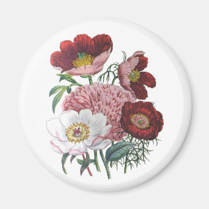Aimant Carnaval des fleurs