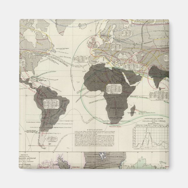 Aimant Carnivora (Devant)