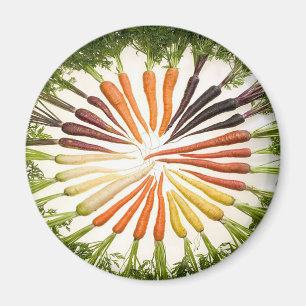 Aimant Carottes multicolores arc-en-ciel