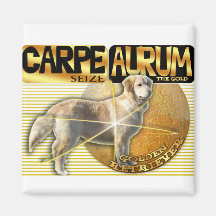 CARPE AURUM LATIN SAISISSEZ LA RÉCUPÉRATION OR OR