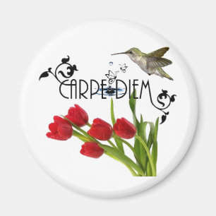 Aimant carpe diem