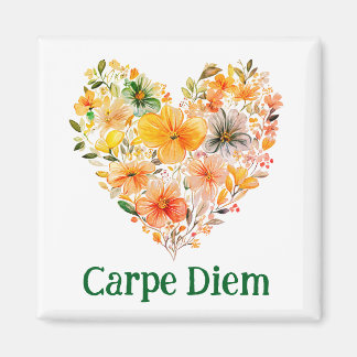 Aimant Carpe diem