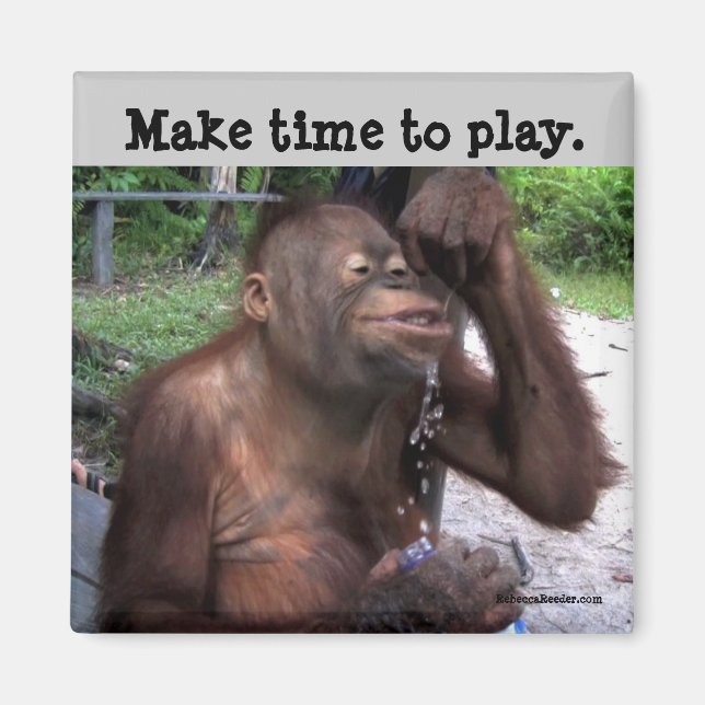 Aimant Carpe Diem Cute Wildlife (Devant)