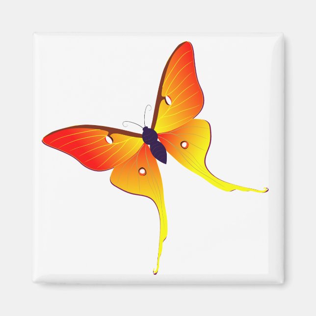 Aimant Carré à papillon orange (Devant)
