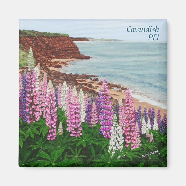 Aimant carré de falaises de Cavendish et de lupins (Devant)