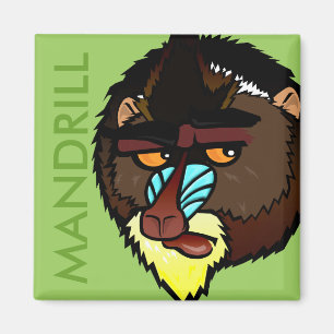 AIMANT CARRÉ DE MANDRILL