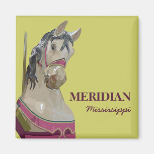 Aimant carré de méridien